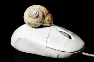 Black Background Studio Photo Stampe: Computer mouse with a snail shell
