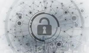 Business Risk Management Stampe: Cryptography and encryption algorithm concept