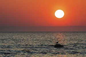 Baltic Coast Sunset Stampe: Sunset on the Baltic coast