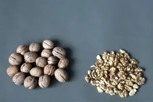 Dried Fruit Nutrition Stampe: Walnuts with hard shell and Kernel
