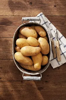 Detailed Botany Images Stampe: Potatoes