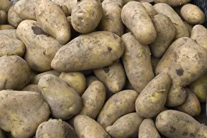 Full Frame Vegetable Photography Stampe: Potatoes