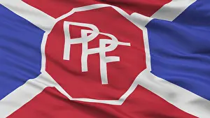 Detailed Flag Image Stampe: Ppf Flag, Closeup View