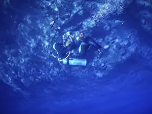 Snorkeling In Brazil Stampe: Practicing diving and snorkeling