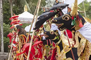 Bali Travel Photography Stampe: Preparing for a corpse cremation