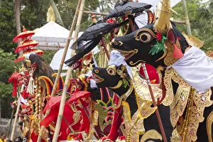 Bali Travel Photography Stampe: Preparing for a corpse cremation
