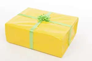 Christmas Gift Stampe: Present
