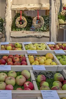 German Fruit Photography Stampe: Presentation of different apple varieties