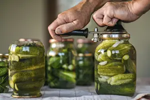 Homemade Pickles Stampe: The process of closing salted cucumbers