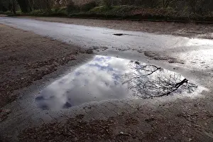 Central Europe Deserted Waterfront Stampe: Puddle with reflection, Winter, Germany