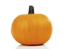 Balanced Diet Grocery List Stampe: Pumpkin