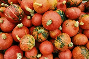 Pumpkin Nutrition Stampe: Pumpkins