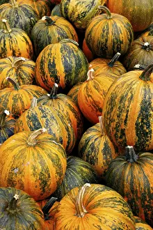 Vegetable Nutrition Facts Stampe: Pumpkins