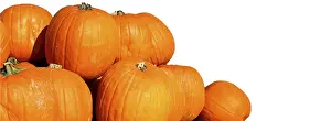 Holiday Decoration Ideas Stampe: Pumpkins with space for text
