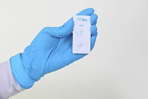 Sexually Transmitted Disease Test Stampe: Quick test Chlamydia from ProLine