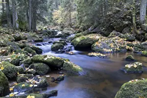 Autumn Leaves In Austria Stampe: A quiet stream flows through the forest