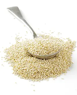 Wooden Spoon Cooking Stampe: Quinoa