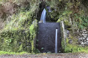 Deserted Forest Path Stampe: Rabacal excursion area, the Levada do Risco to the 25 Fontes