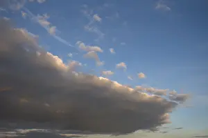 Cloudy Weather Stampe: Rain cloud