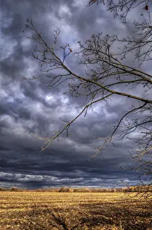 Stormy Sky Stampe: Rain clouds, sun rays, twilight