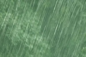 Rainy Forest Landscape Stampe: Raindrops falling
