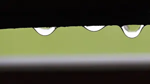 Rainy Summer Stampe: Three raindrops hanging on the window frame