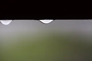 Water Drop Detail View Stampe: Raindrops hanging on the window frame