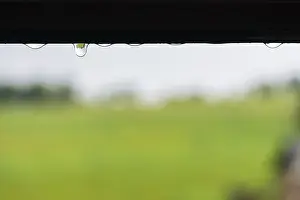 Rainy Summer Stampe: Raindrops hanging on the window frame