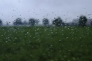 Rainy Day Window View Stampe: Raindrops streaming down a window