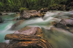 Mountain Torrent Photography Stampe: Ramsauer Ache in the Magic Forest