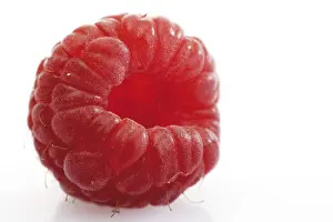 Close Up Raspberry Stampe: Raspberry