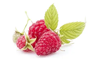 Studio Shot Dessert Stampe: Raspberry pill with leaves on white background
