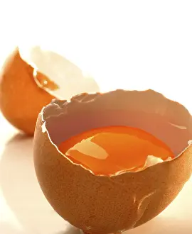 Studio Food Photography Ideas Stampe: Raw egg, broken open, shell