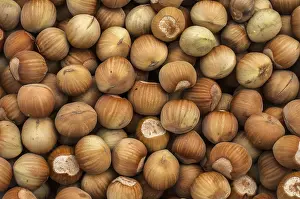 Appetizing Food Stampe: Raw hazelnuts with shell closeup as background