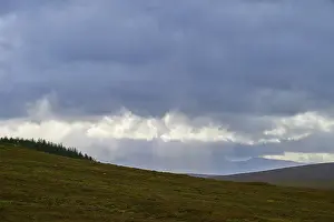 Nature Photography UK Stampe: Rays of light break through the clouds above a hill with trees