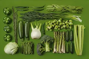 Green Background Still Life Stampe: Rectangular composition with various green vegetables on green background
