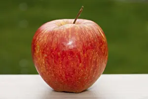 Ripe Fruit Images Stampe: Red apple