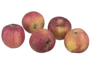 Full Length Apple Cutout Stampe: Red apple Red Eiserapfel