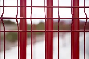 Frecce Rosse Stampe: Barre rosse.