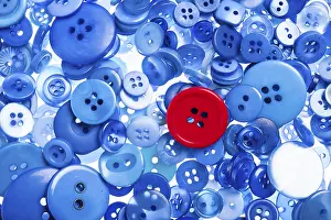 Open Air Blossom Photography Stampe: One red button among blue buttons