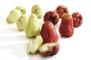 Fresh Studio Shot Stampe: Red and green Java Apples