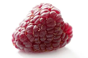 Bright Background Fruits Stampe: One red macro raspberry over white background studio shot