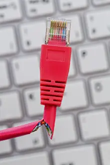 Digital Data Transmission Stampe: A red network cable of a computer