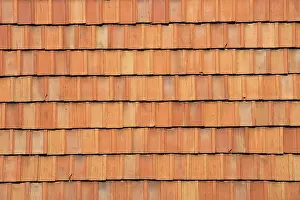 Tiled Roof Architecture Stampe: Red rooftiles