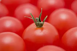 Red Coloured Vegetables Stampe: Red tomatoes background