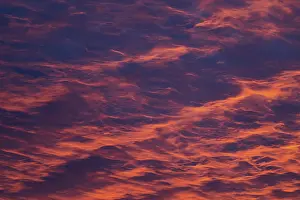 Red Sky Dawn Stampe: Reddish orange cloud structures, dawn