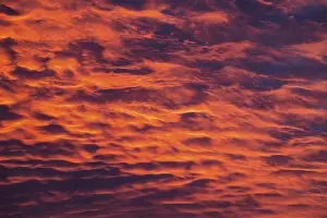 Deserted Dawn Scene Stampe: Reddish orange cloud structures, dawn