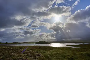 Scottish Highland Lakes Stampe: Reflecting lake under a sky with dramatic clouds and sun rays