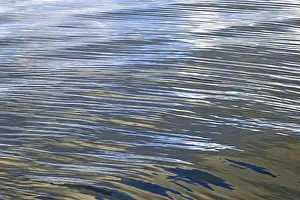 Undulating Water Surface Stampe: Reflection of the cloudy sky on undulating water surface