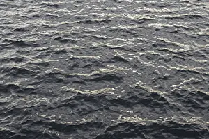 Uninhabited German Landscape Stampe: Reflection, reflections on the undulating water surface